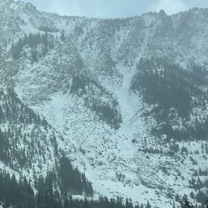 Meet your Posher, Drew